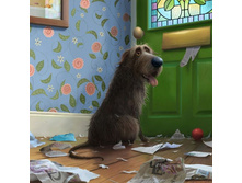 11232937 860833277339040 846290916451142959 n.jpg