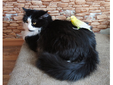 DSC07104.JPG