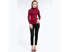 BASIC-FW13C �.������� �������.GIF