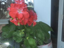 IMG 20150623 155720 185.jpg