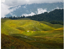 DSC 5487-rhjg.jpg