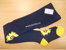 DSCN1451 (����������).jpg