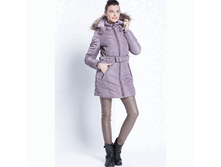 Brown-FW14C ��������� ������ ������.GIF