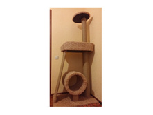 �������� ��� ���� ���� �� 4450 ���