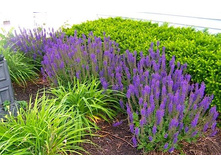 ������ ���� 2