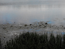 IMG 20150613 140707.jpg