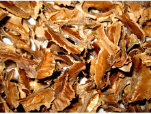 ����������� �������� �����.jpg