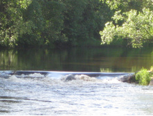 IMG 4328.JPG