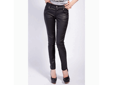 COATING-SS13C ������ ������.GIF