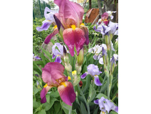 20150602 143431 Richtone(HDR).jpg