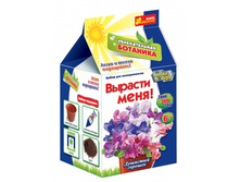 ������� ���� (�������� �������)