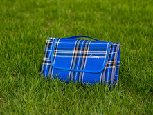 0058 - Blue 170�150.JPG