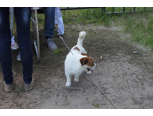 5574a8f717e3c img8302.JPG