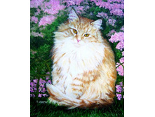 Db Diane Jorstad Cat-kitten portrait1.jpg