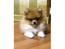 ������ 013.JPG