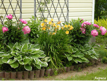 86681725 large 36730f61eafd.jpg