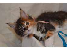 2 ������