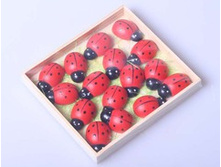 ����� ������ ������� ���� 16�� 100�.jpg