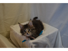 2 ������