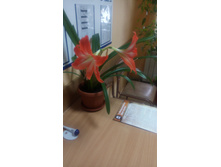 ��������� �� ������ ������