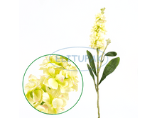 ��002562 ������� ��.������� 66 �� (12 ��. � ���.)(Mbox 192 ��.) 174.40�.png