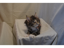 2 ������