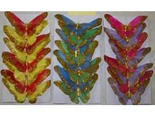 ������� 24�� 315�.jpg