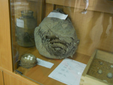 DSCN1424.JPG