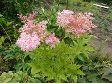 �������� �������.80