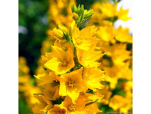 ��������� �������� 90