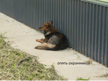 �������2