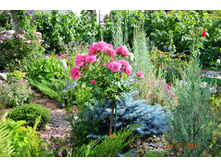 ������� ���������