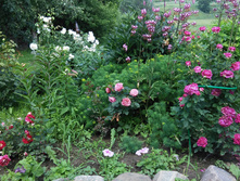 20150627 140636.jpg