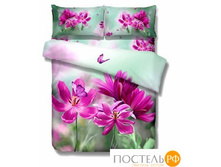 Famille fa-35006.jpg