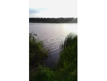 ����� ���������