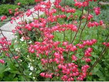 ������� ������� ������� 110�