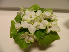 ������ Frozen in Time