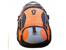 ������ HS-3167.jpg