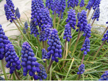 ������� �����.60