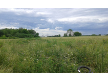 20150701 144548.jpg