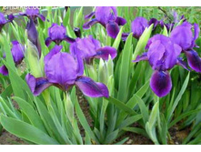 ���� ����������.90