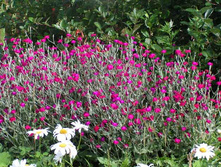 ������ ���������� 80