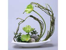 ���������� �� ������������� ������ � ������������ ����� YX 13422 700�.jpg