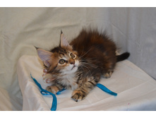 2 ������