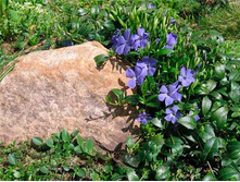 �������� �����.70