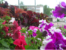 DSCN3291.JPG
