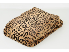 Zoo Collection �������.jpg
