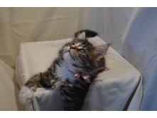 2 ������