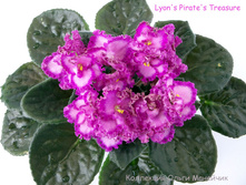 Lyons pirates treasure (����)