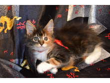 2 ������